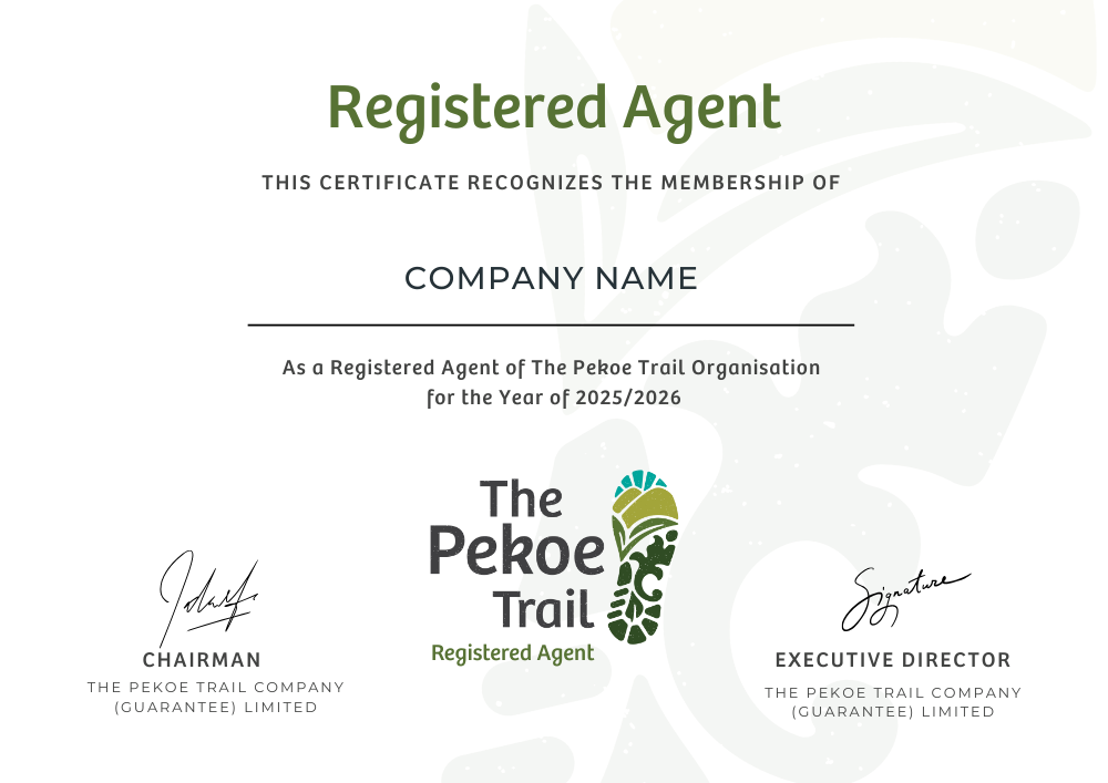 Registered Agent Certificate