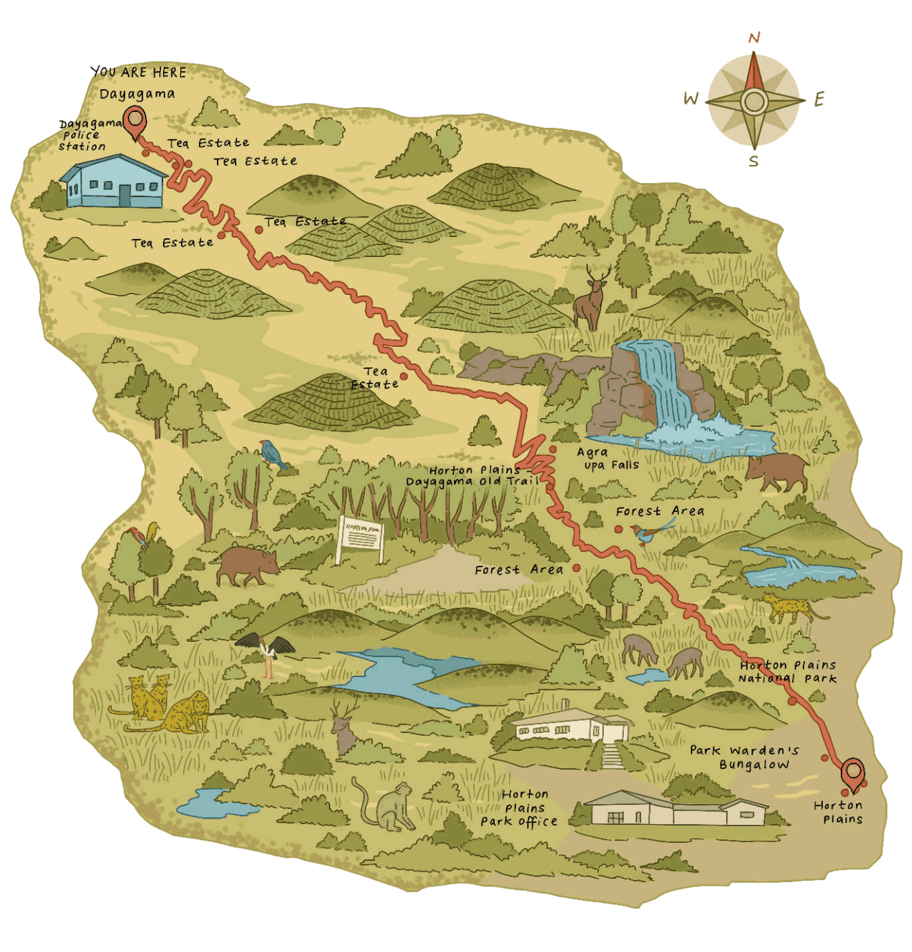 The Pekoe Trail Stage 10 Dayagama To Horton Plains The Pekoe Trail the-pekoe-trail-stage-10-dayagama-to-horton-plains-the-pekoe-trail