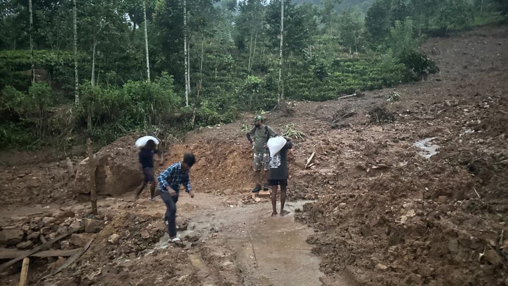 Trail Clearing Operations After Cyclone