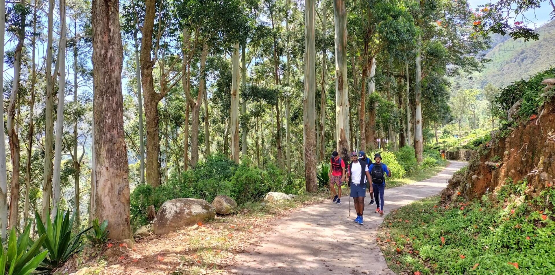 The Pekoe Trail winding through Sri Lanka's hill country