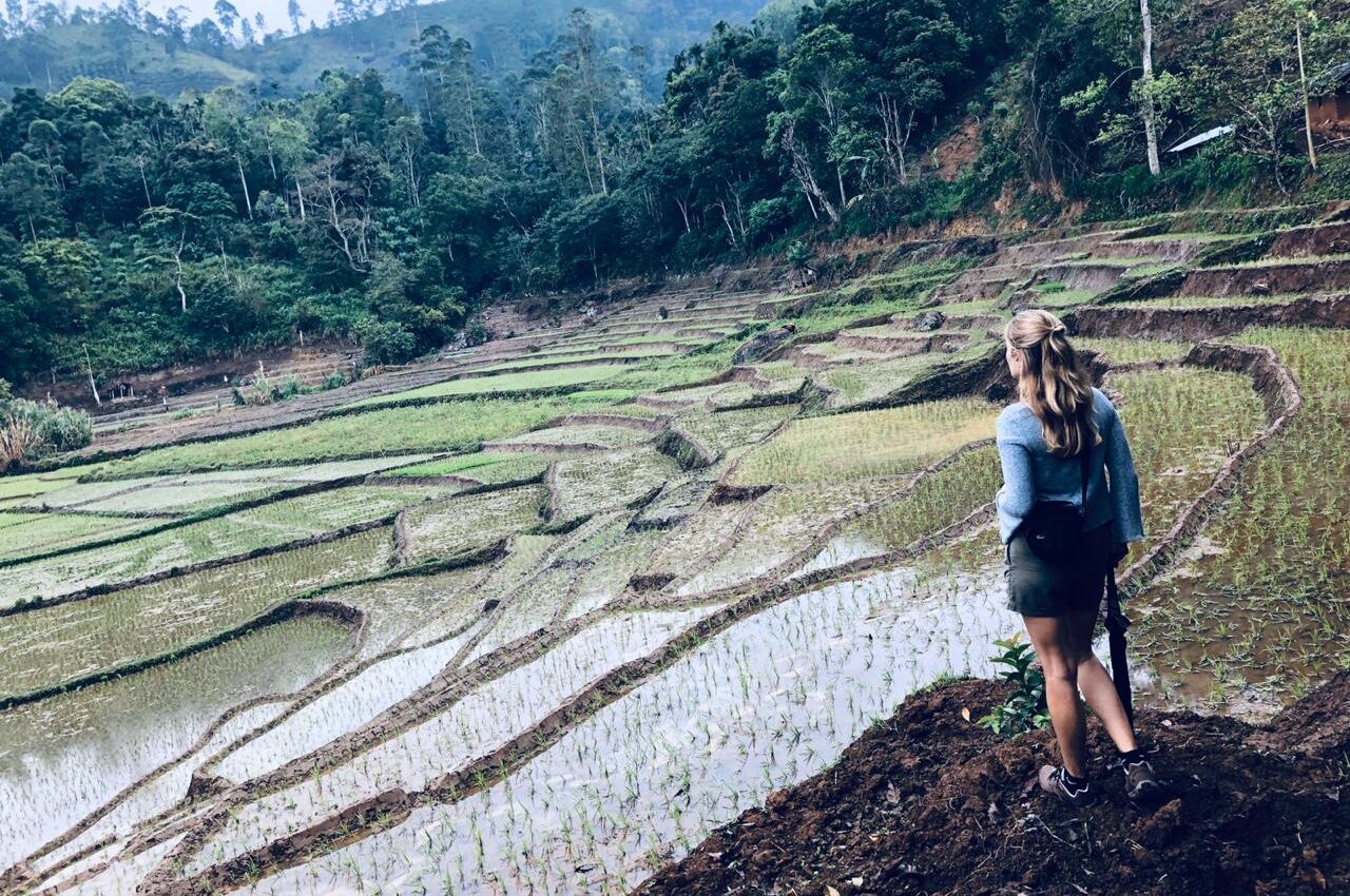 Hikers on The Pekoe Trail