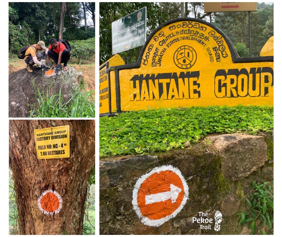 Trail Maintenance & Infrastructure Upgrades